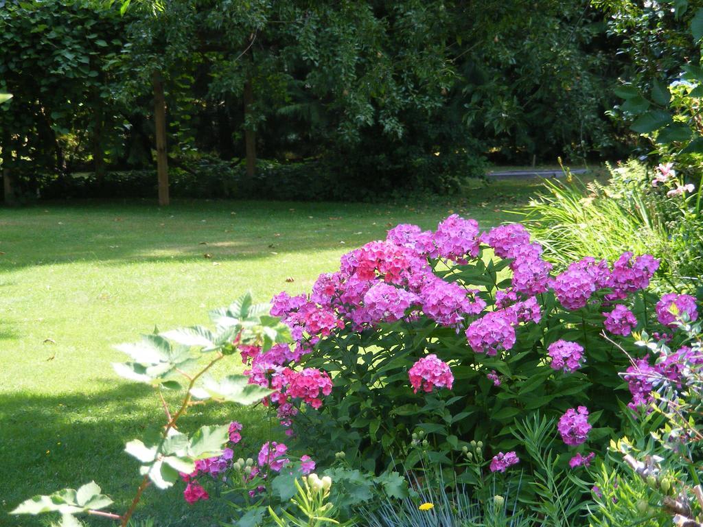 Hummingbird Bed & Breakfast